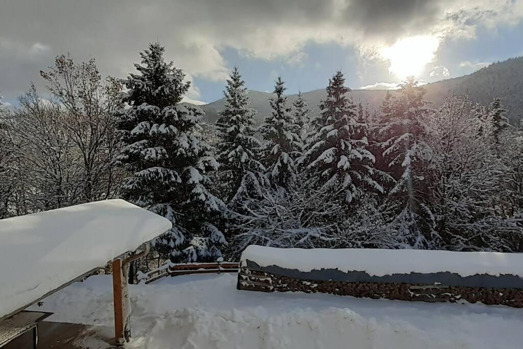 Appartement Cosy A Бусан Екстериор снимка